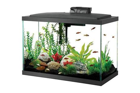 best aquarium brands|The Best Fish Tank, Heater, Light, and Accessories.